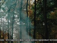 Профилактика табакокурения