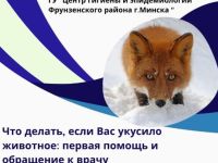 Бешенство