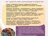 Бешенство-это должен знать каждый из города