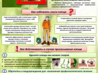 Осторожно! Клещи