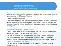 28 сентября - Всемирный день борьбы против бешенства